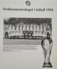 Verdensmesterskapet i fotball 1994 - NNFs offisielle frimerkesamling thumbnail